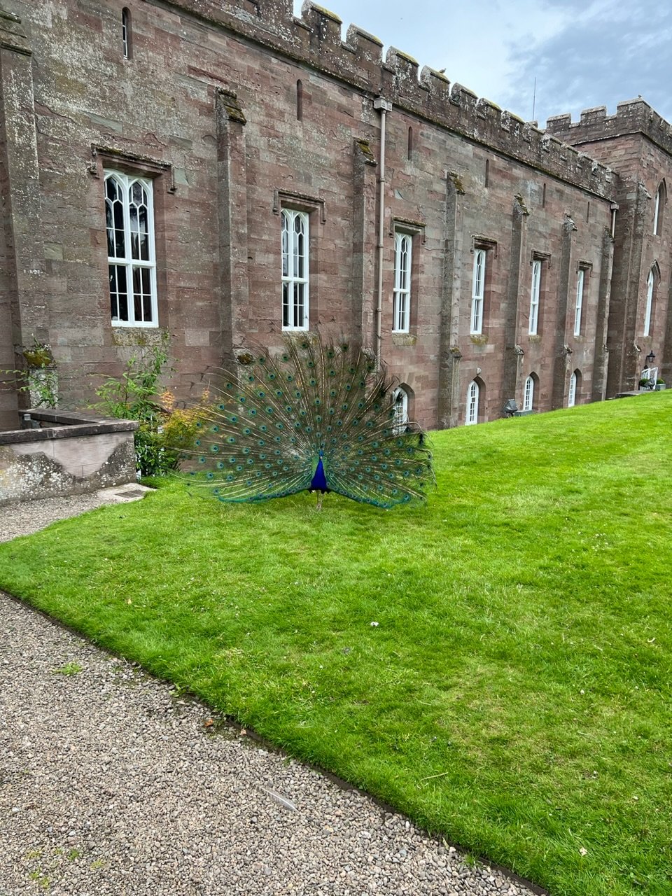 Image from Sarah's BikeTrips