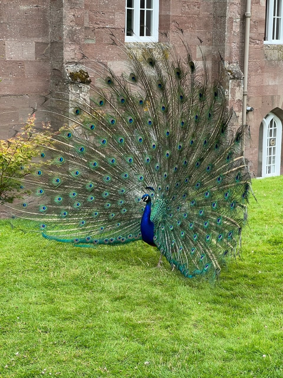 Image from Sarah's BikeTrips