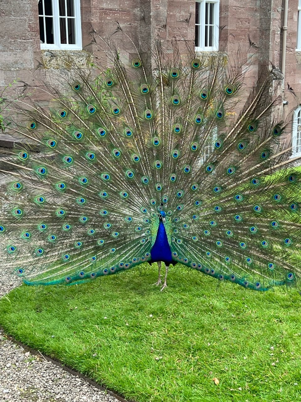 Image from Sarah's BikeTrips