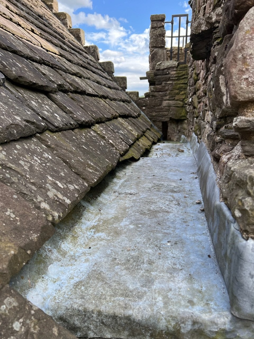 Image from Sarah's BikeTrips