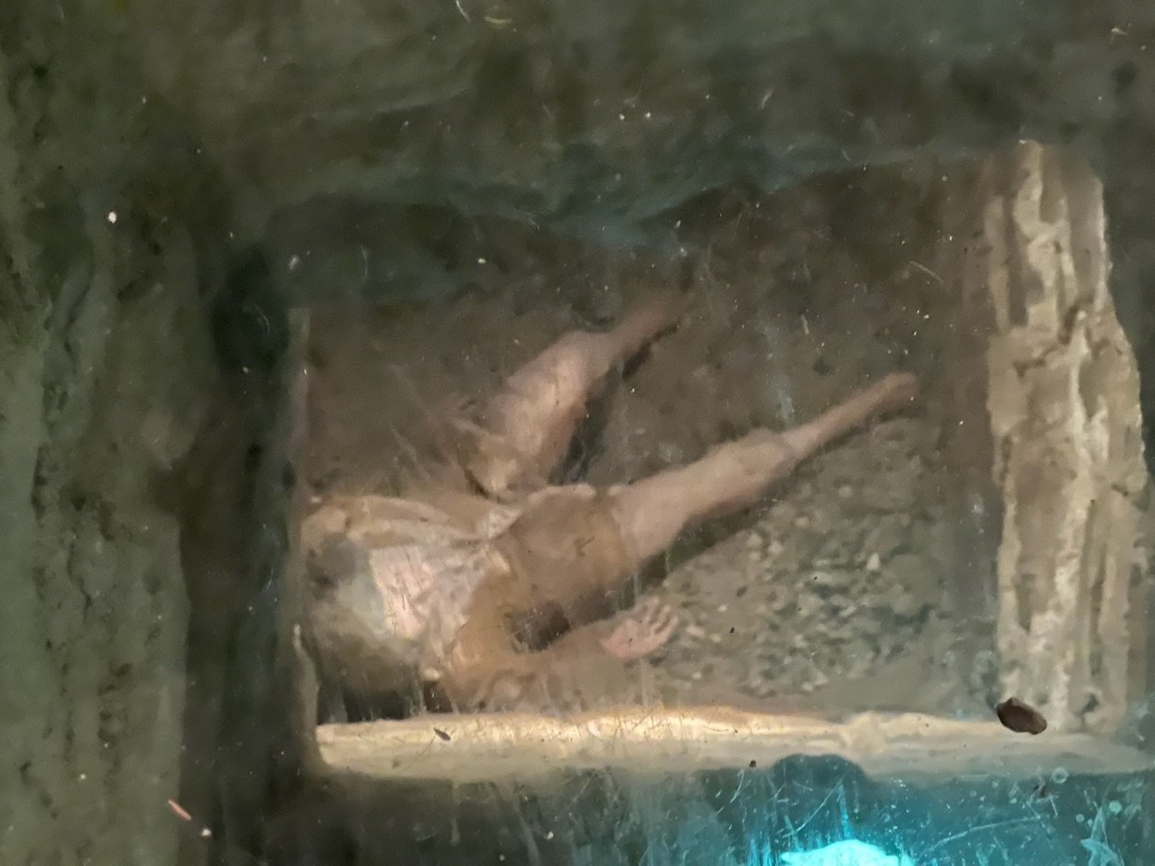 Image from Sarah's BikeTrips