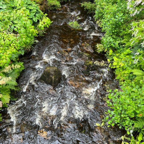 Image from Sarah's BikeTrips