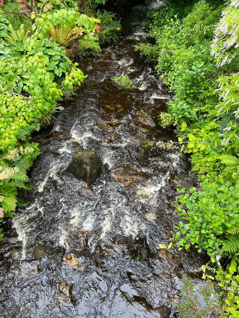 Image from Sarah's BikeTrips