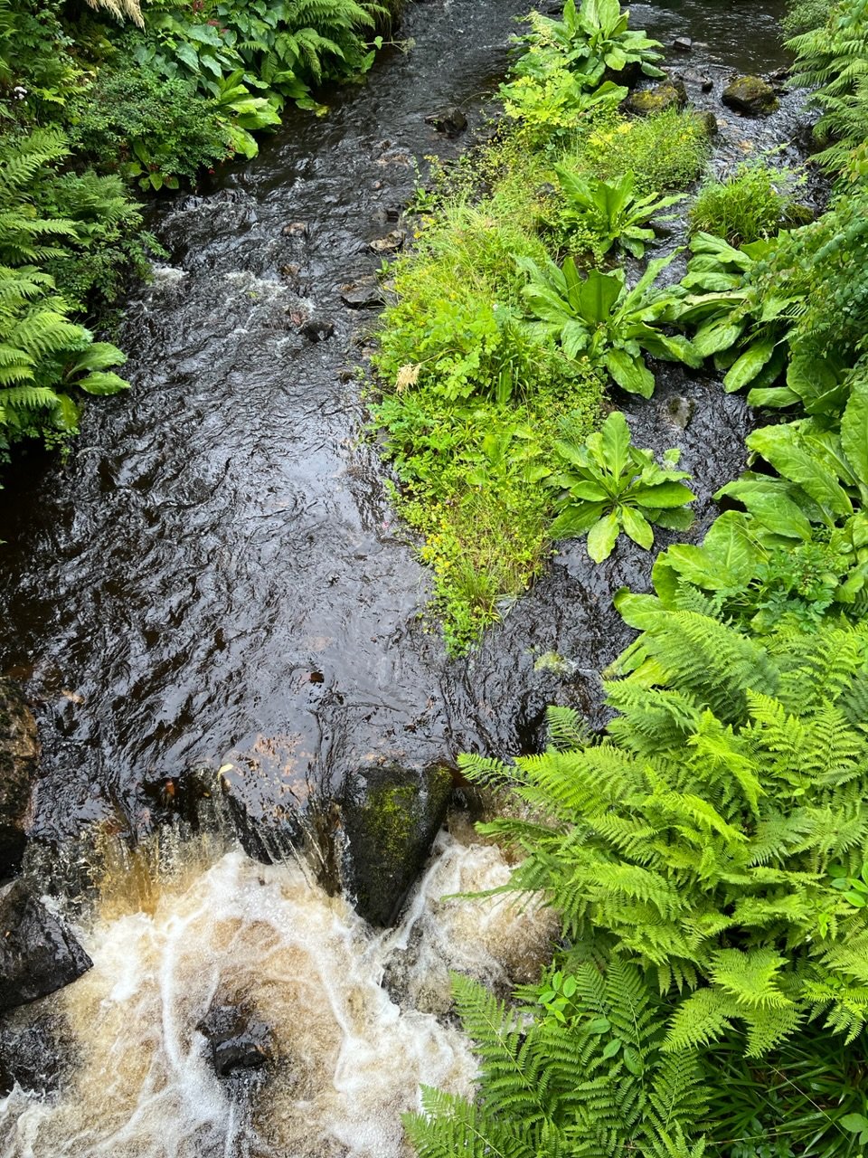 Image from Sarah's BikeTrips