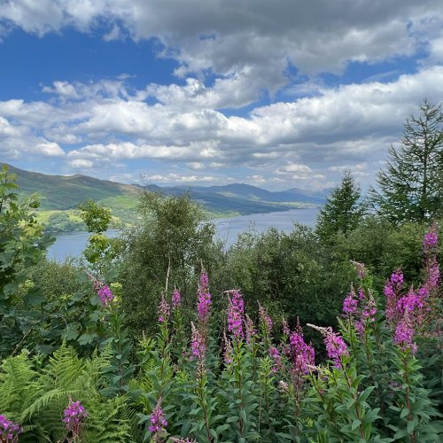 Image from Sarah's BikeTrips