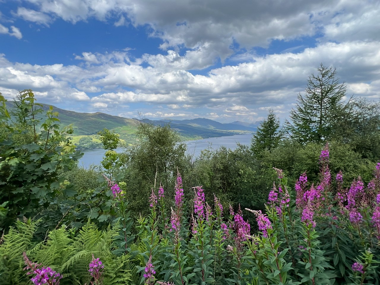 Image from Sarah's BikeTrips