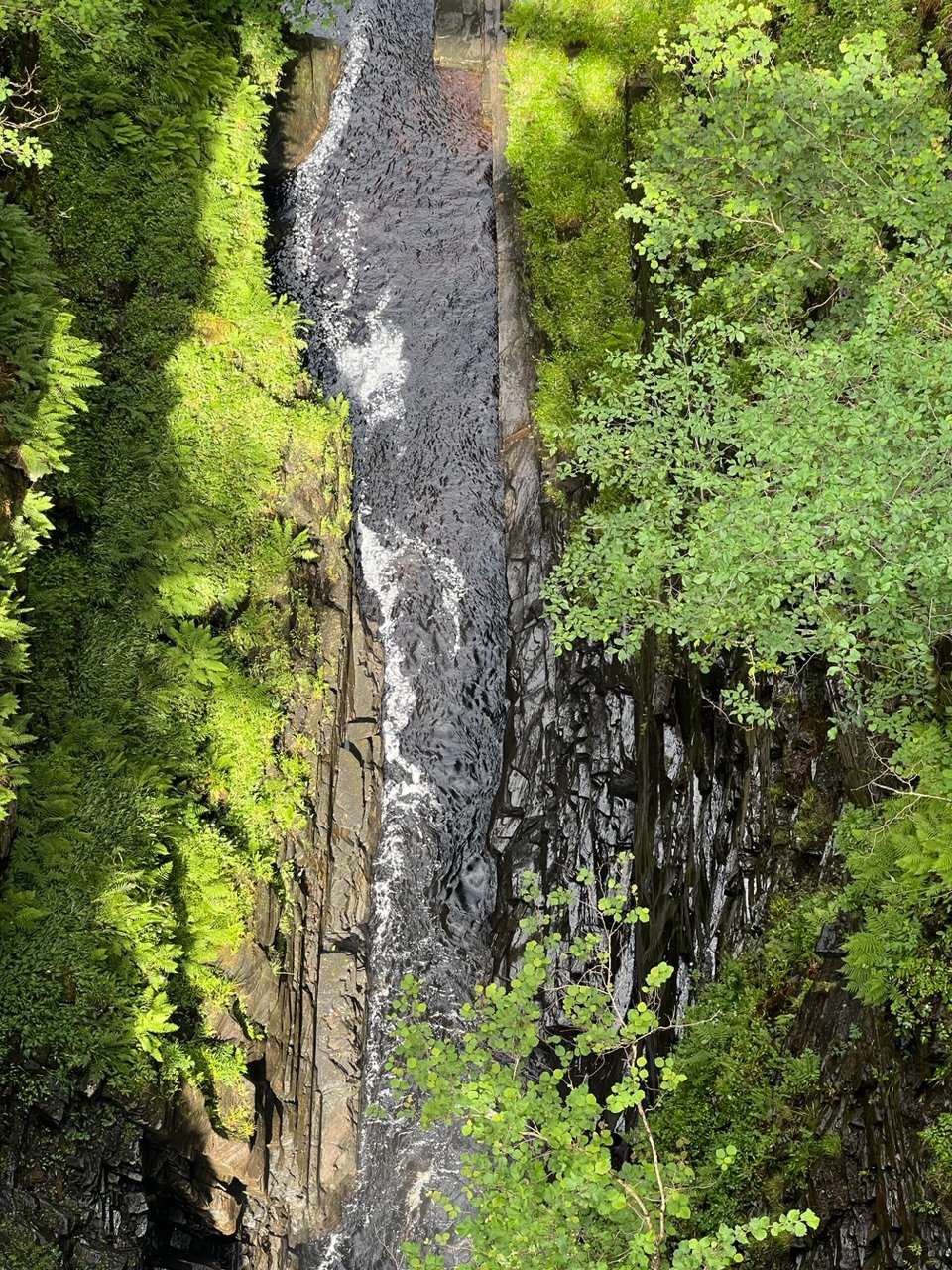 Image from Sarah's BikeTrips