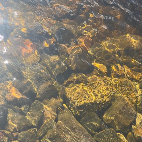 Image from Sarah's BikeTrips