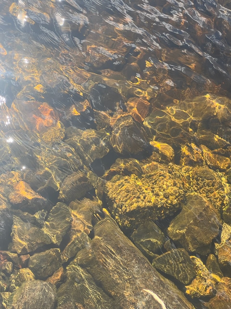 Image from Sarah's BikeTrips