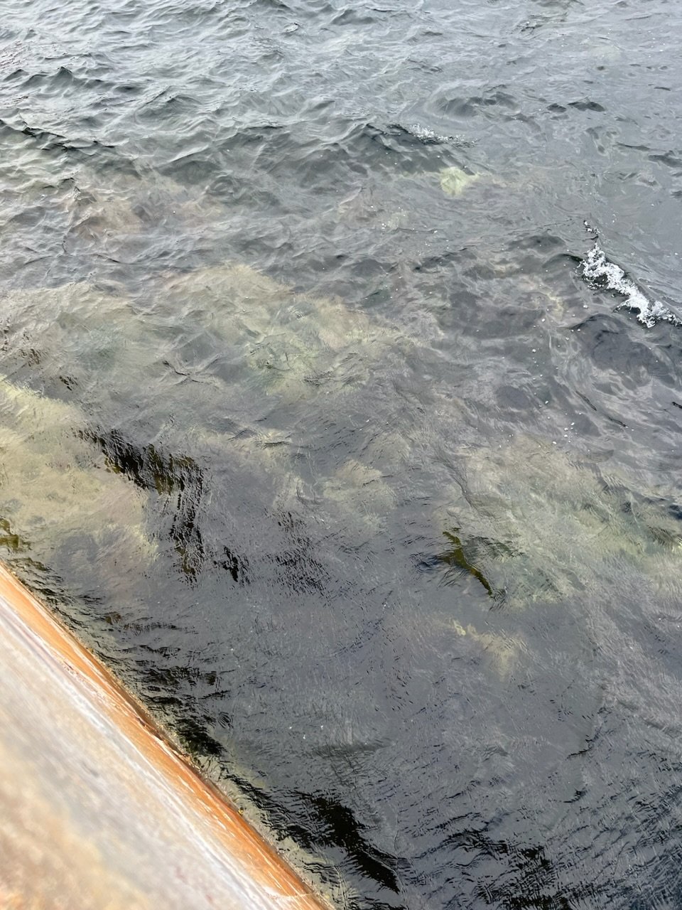 Image from Sarah's BikeTrips