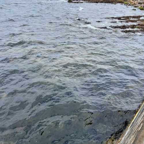 Image from Sarah's BikeTrips