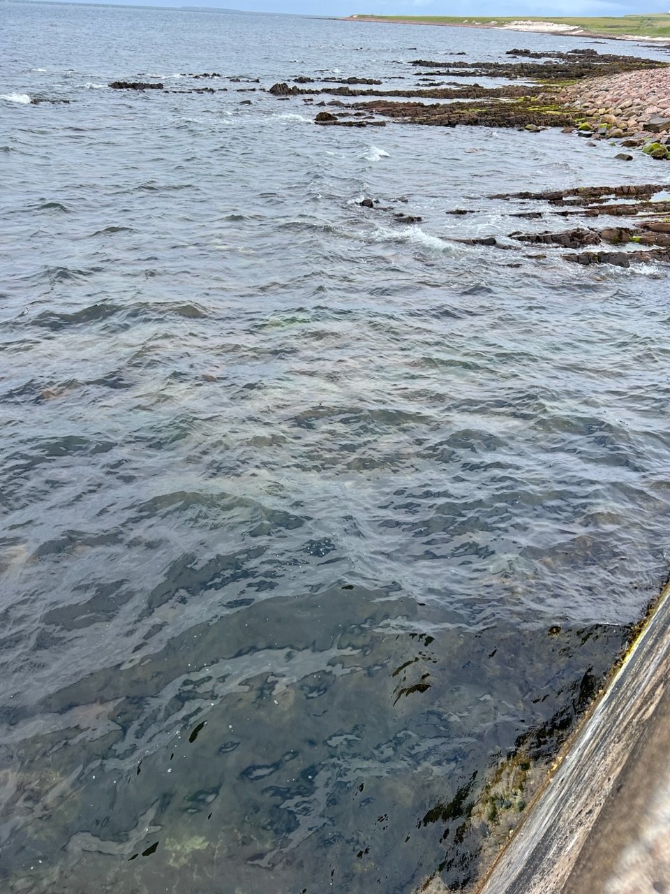 Image from Sarah's BikeTrips