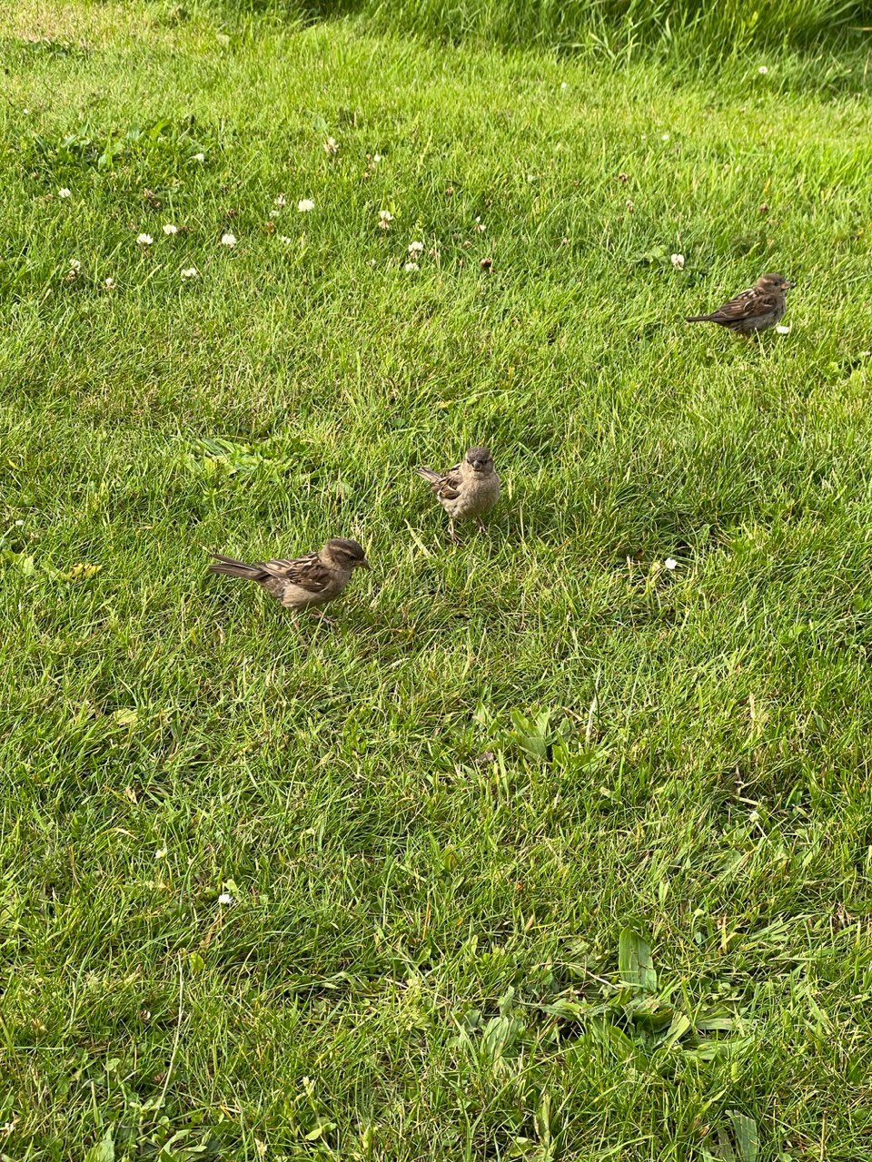 Image from Sarah's BikeTrips