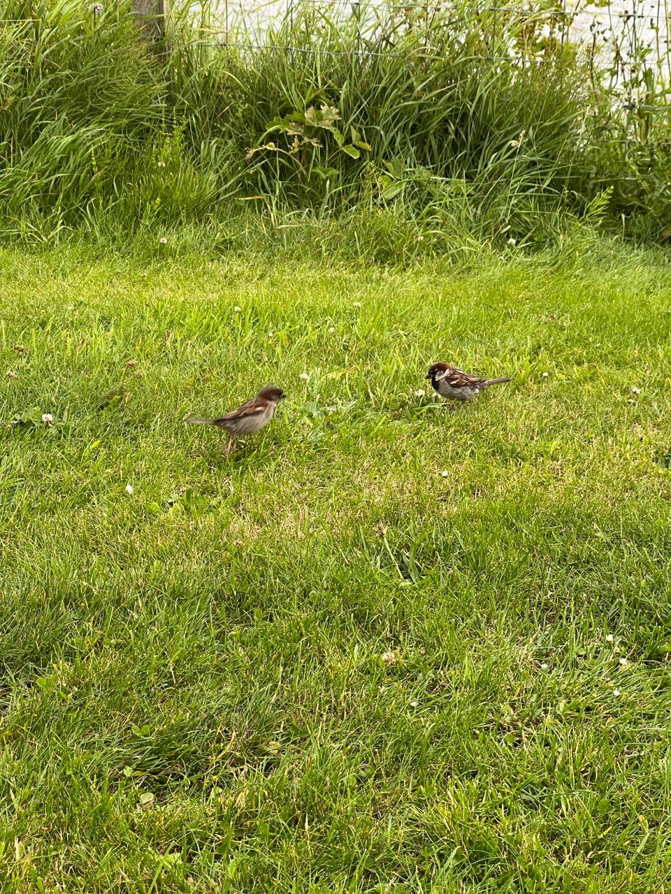 Image from Sarah's BikeTrips