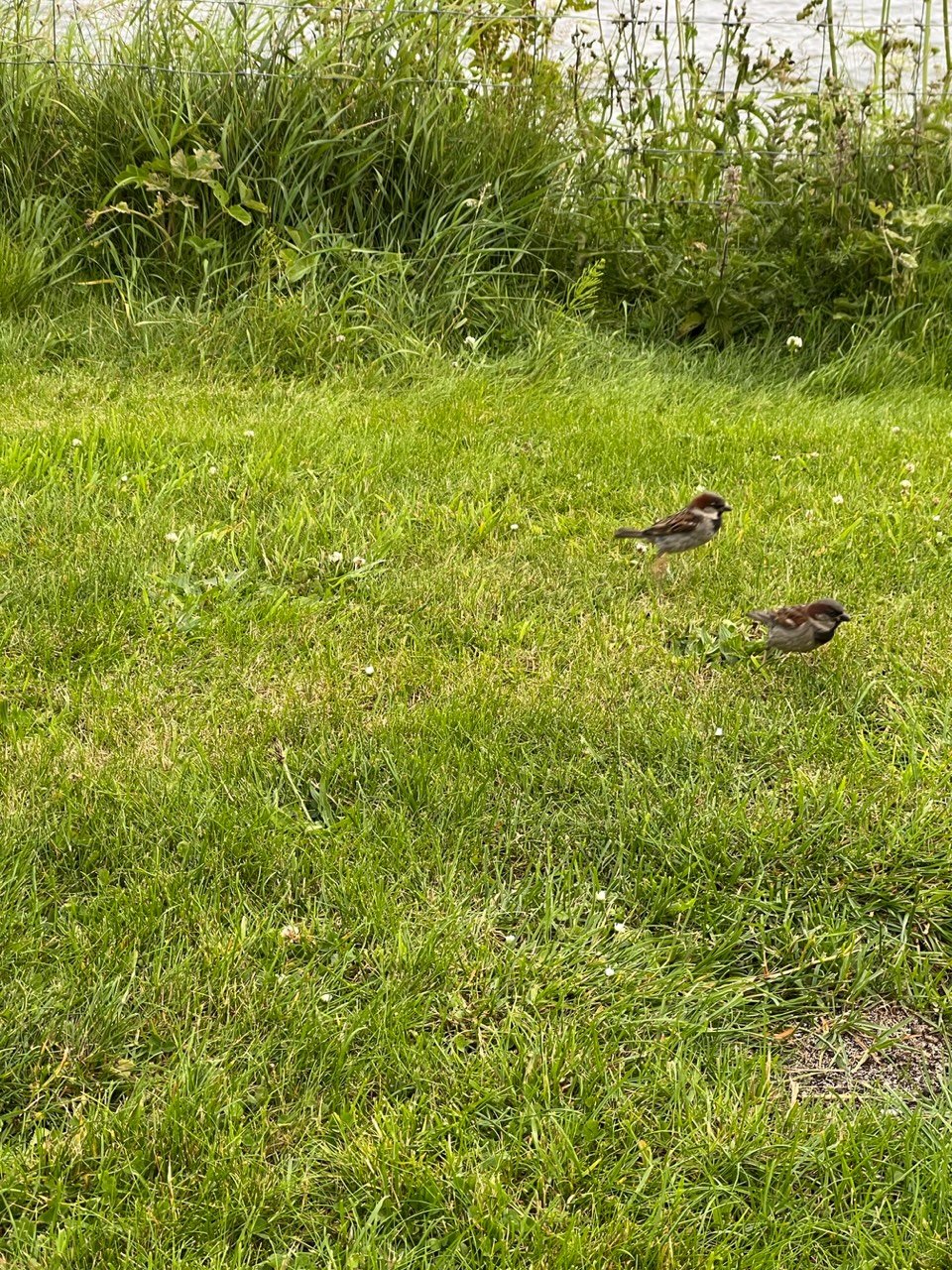 Image from Sarah's BikeTrips