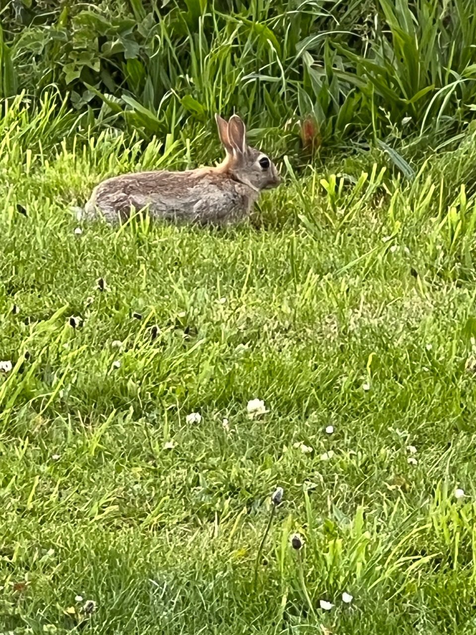 Image from Sarah's BikeTrips