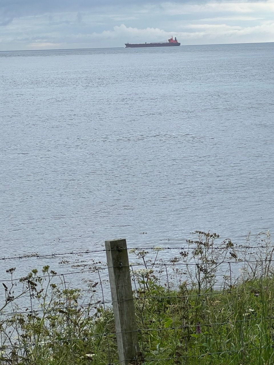 Image from Sarah's BikeTrips