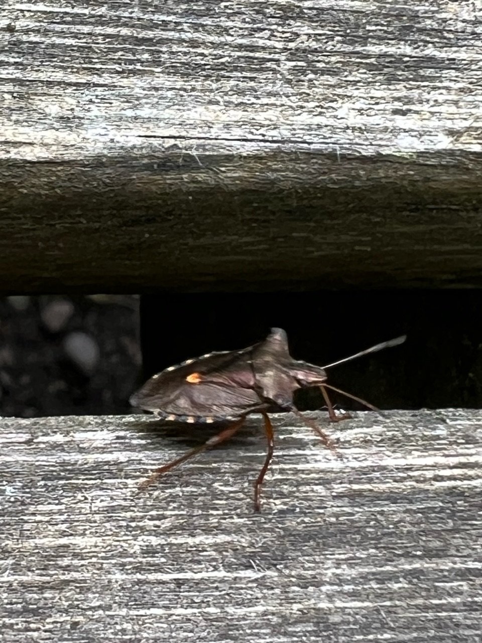 Image from Sarah's BikeTrips