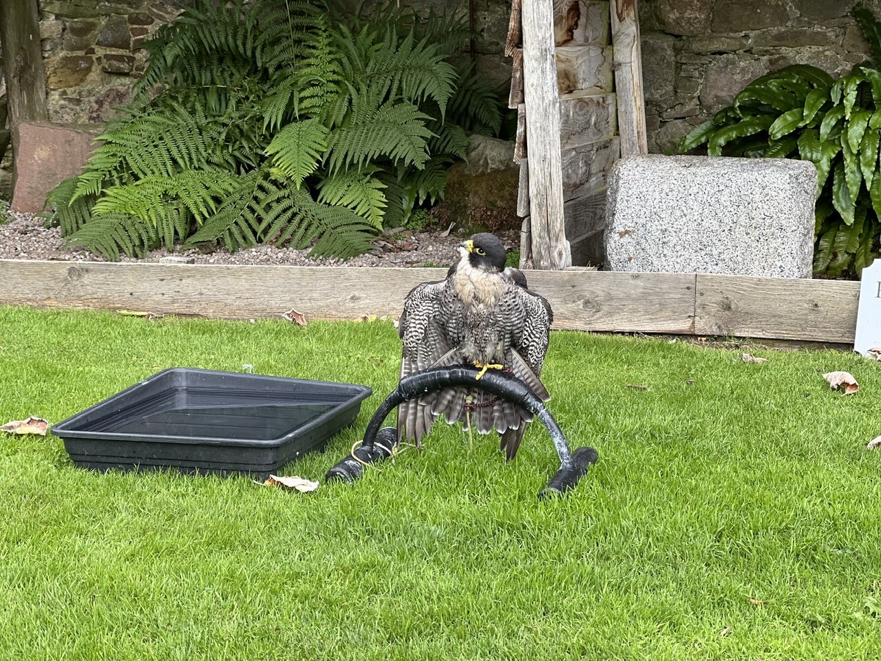 Image from Sarah's BikeTrips