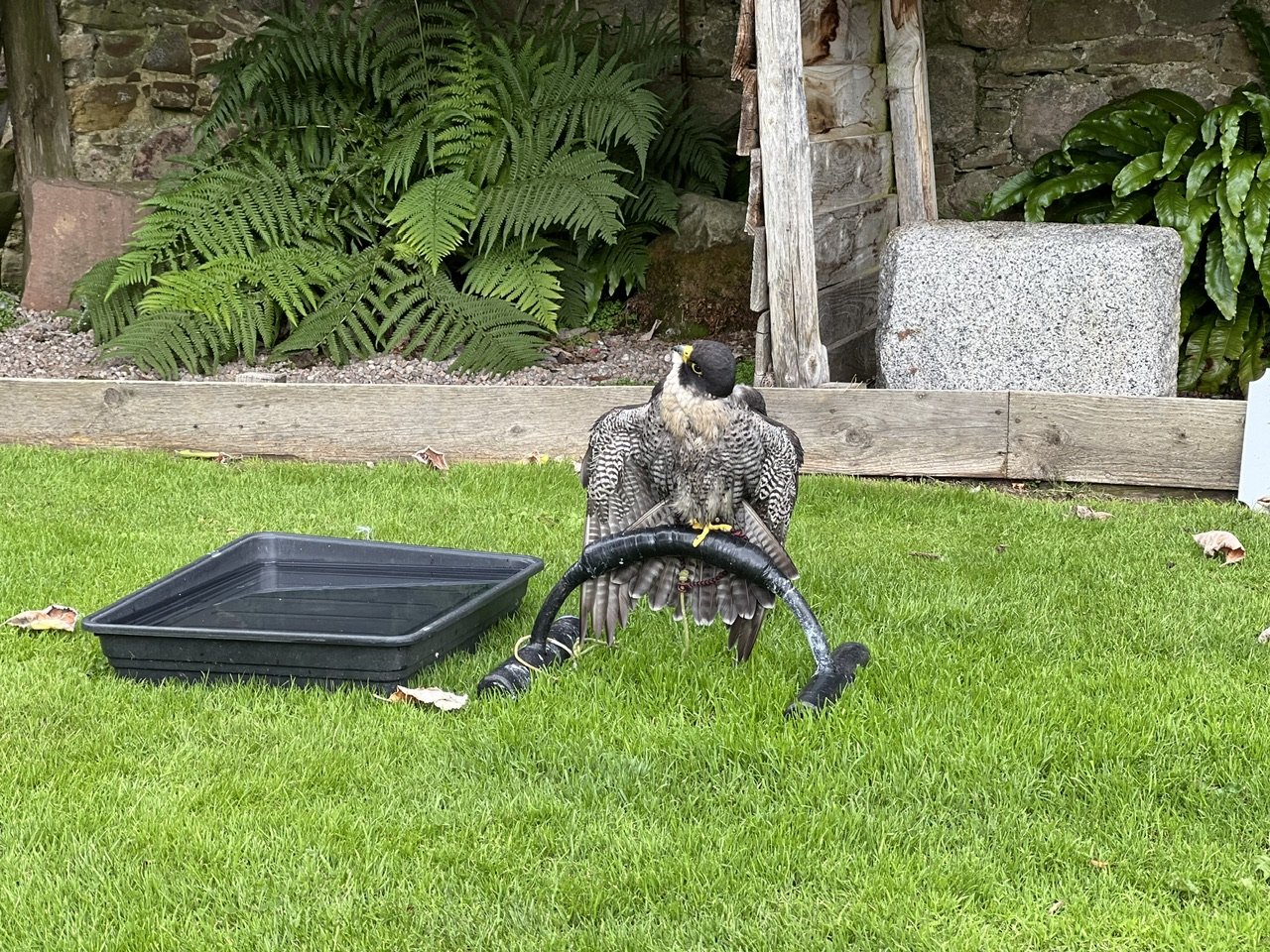 Image from Sarah's BikeTrips