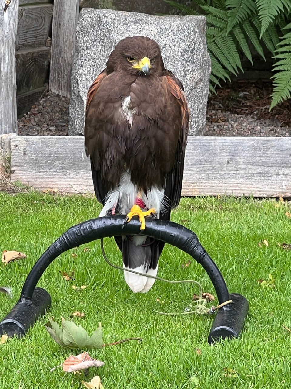 Image from Sarah's BikeTrips