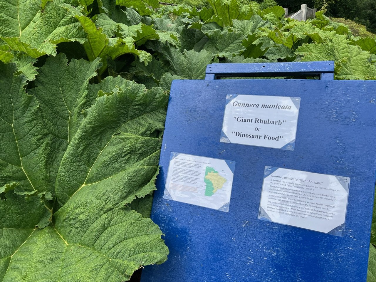 Image from Sarah's BikeTrips