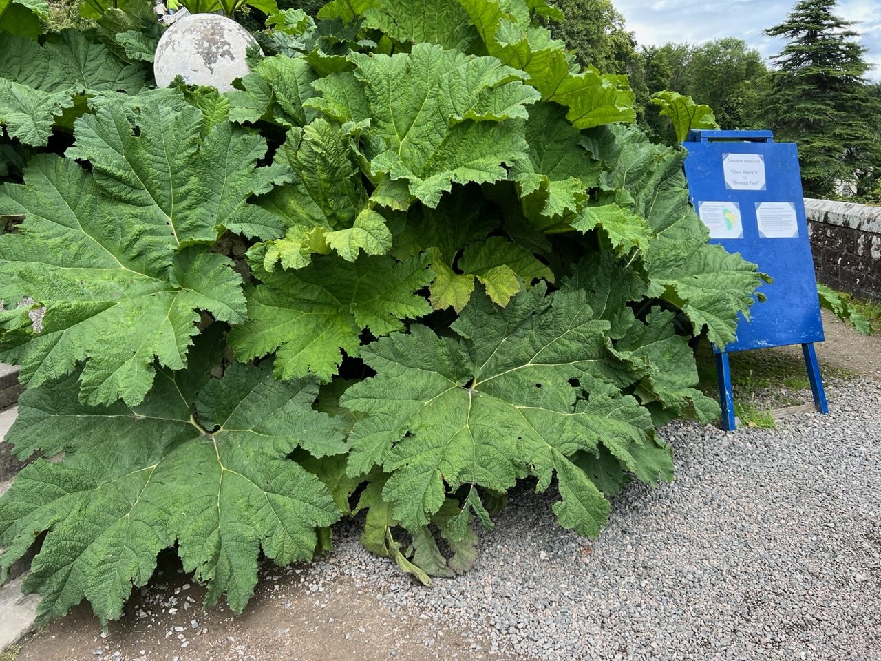 Image from Sarah's BikeTrips