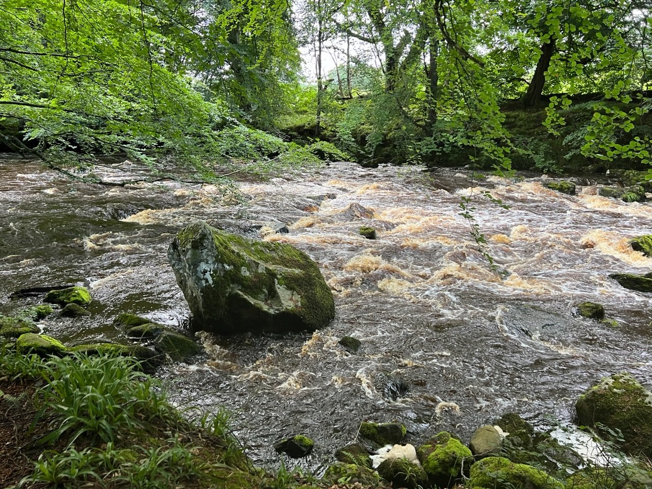 Image from Sarah's BikeTrips