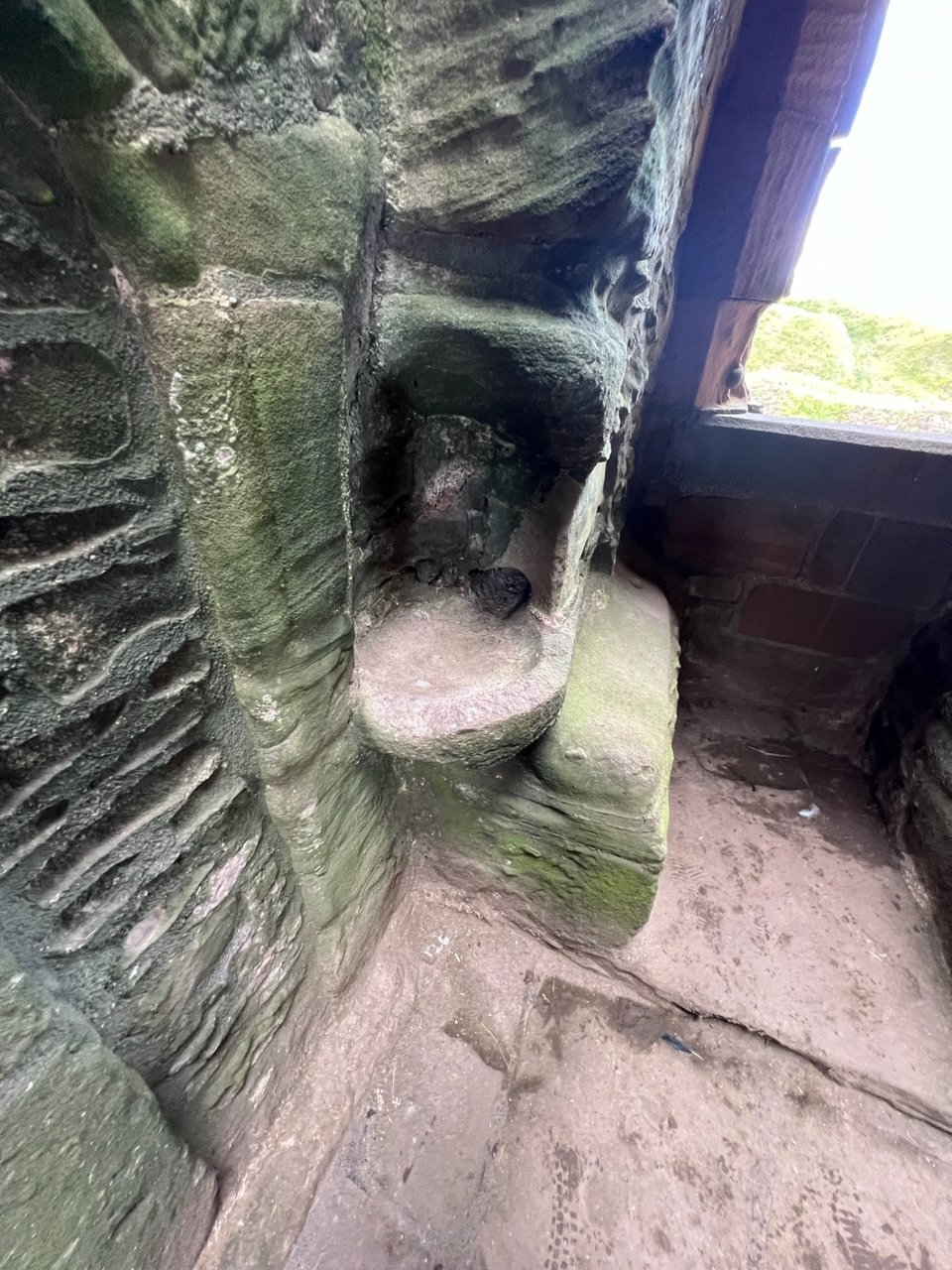 Image from Sarah's BikeTrips