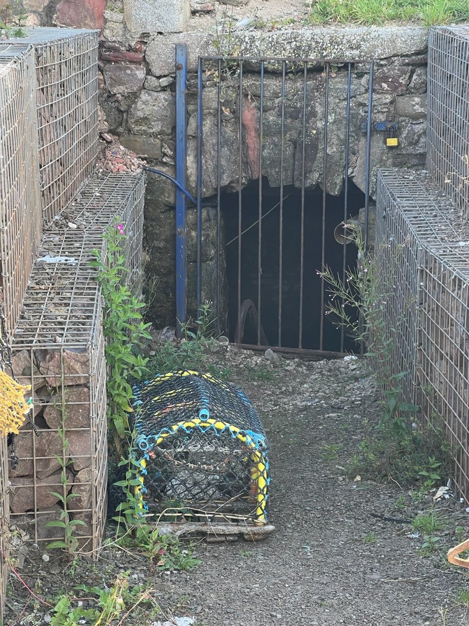 Image from Sarah's BikeTrips