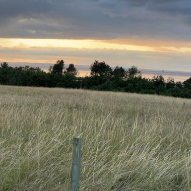 Image from Sarah's BikeTrips