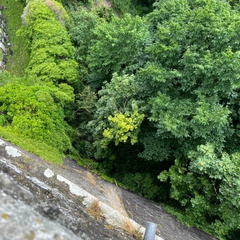 Image from Sarah's BikeTrips