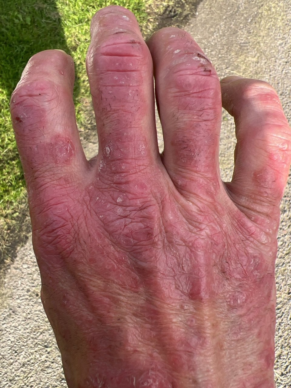 Image from Sarah's BikeTrips