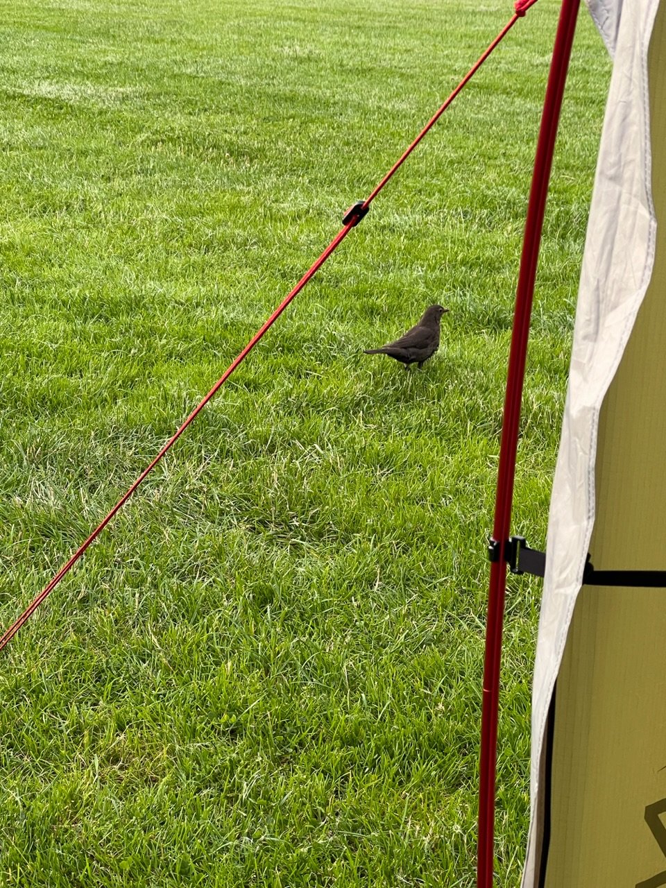 Image from Sarah's BikeTrips