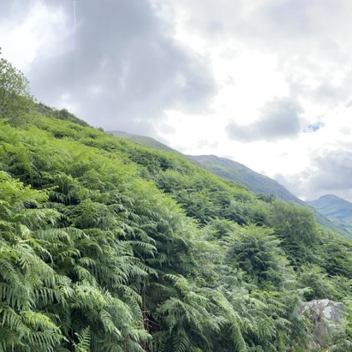 Image from Sarah's BikeTrips