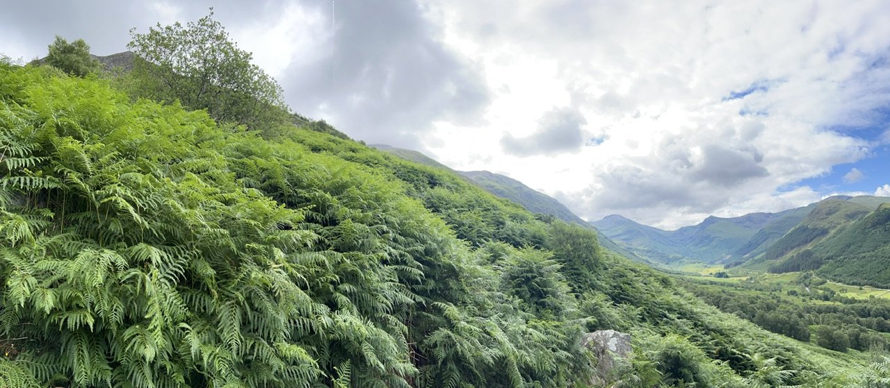 Image from Sarah's BikeTrips