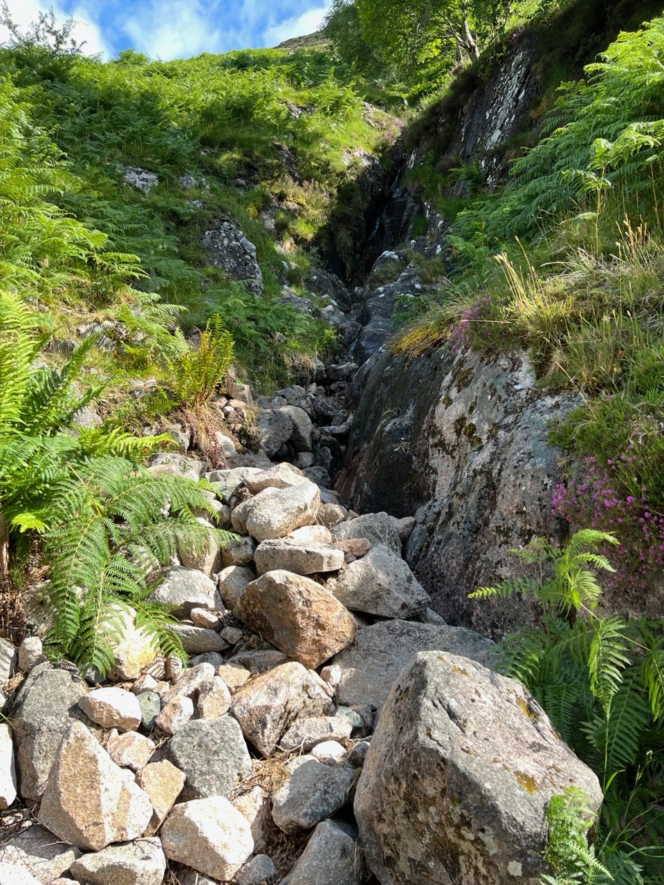 Image from Sarah's BikeTrips