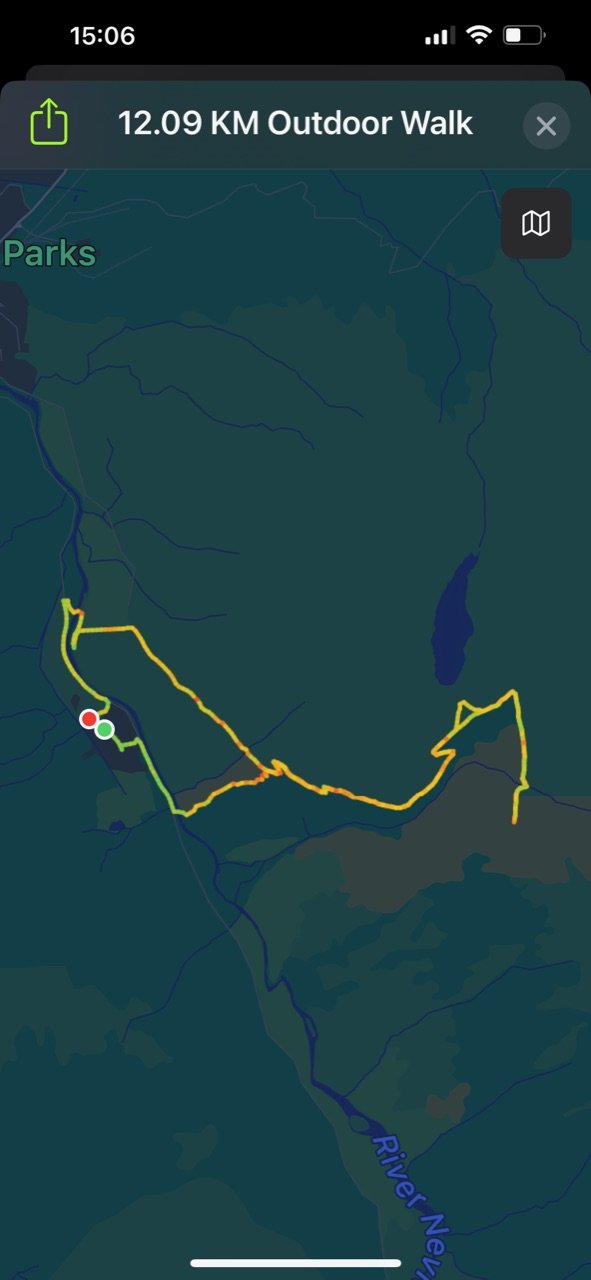 That's the track from my walk today