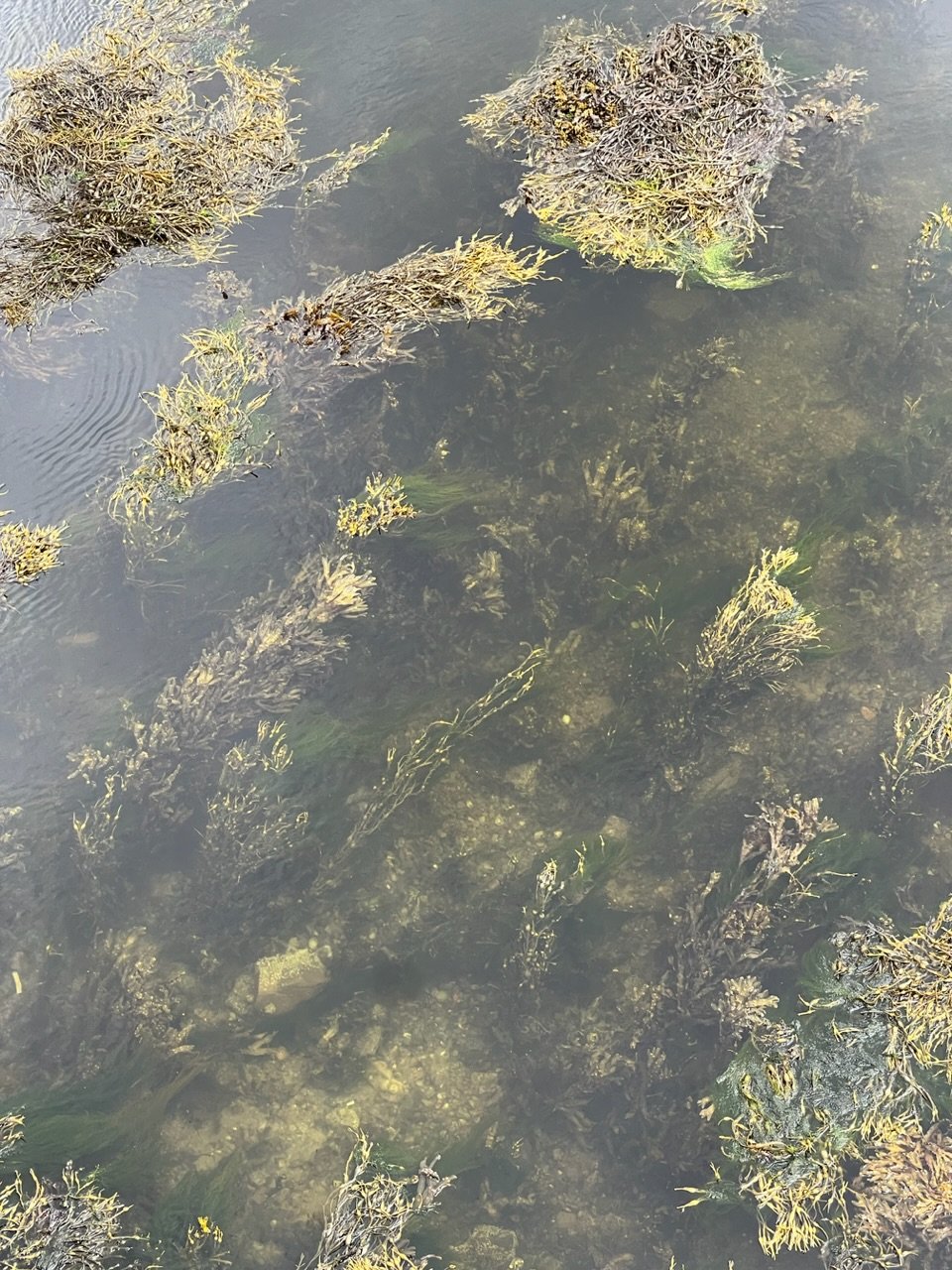 Image from Sarah's BikeTrips