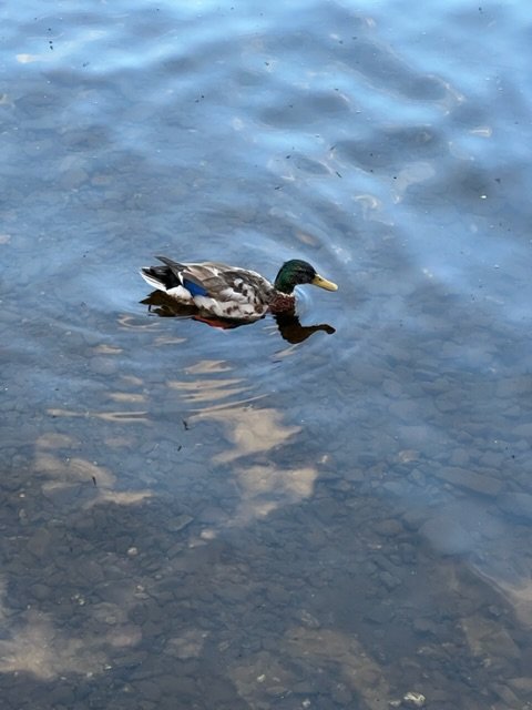 Image from Sarah's BikeTrips