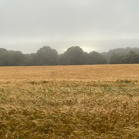 Image from Sarah's BikeTrips