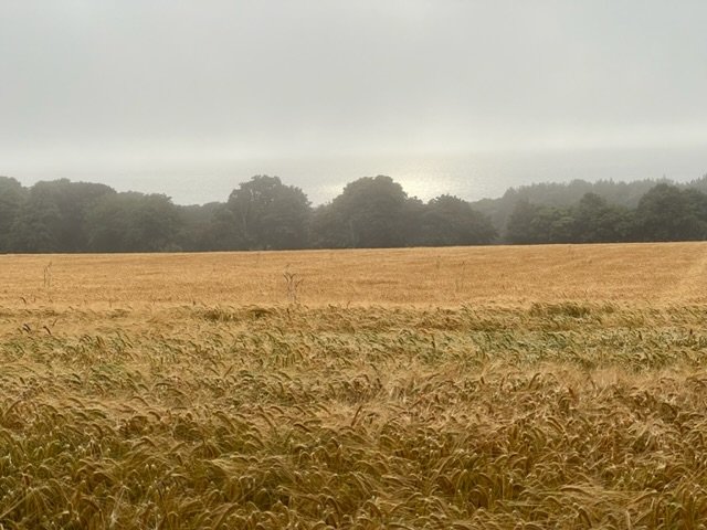 Image from Sarah's BikeTrips